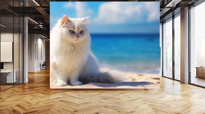 angora cat sitting on the beach with blue sky. pet traveling concept Wall mural