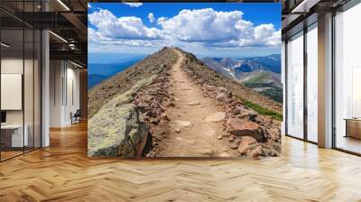 A scenic mountain trail leading to a peak under a blue sky with fluffy clouds. Wall mural