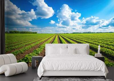 A vibrant green field with rows of crops under a bright blue sky and fluffy clouds. Wall mural