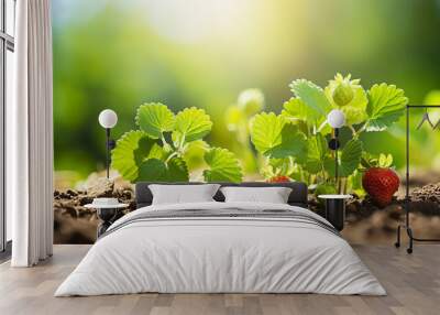 Young strawberry plants flowering under bright midday sun potential fruit promise natural sweetness Wall mural