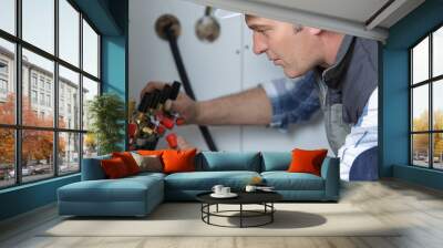 a professional plumber fixing pipes Wall mural