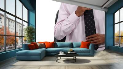 Businessman adjusting his tie Wall mural