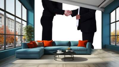 businesswoman and real estate businessman shaking hands Wall mural