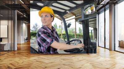 female engineer driving a truck Wall mural