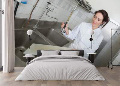 happy female clerk washing the dishes in restaurant kitchen Wall mural