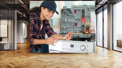 happy female plumber smiling at the camera Wall mural