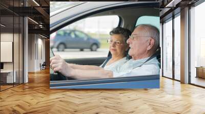 happy senior couple sitting inside car Wall mural