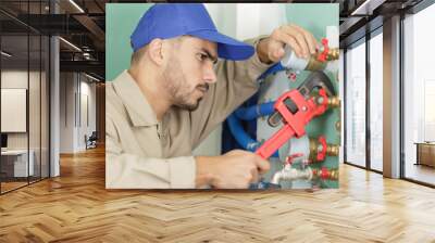 male plumber fixing water meter with adjustable wrench Wall mural