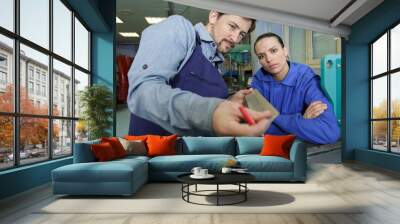 man and woman working in factory Wall mural