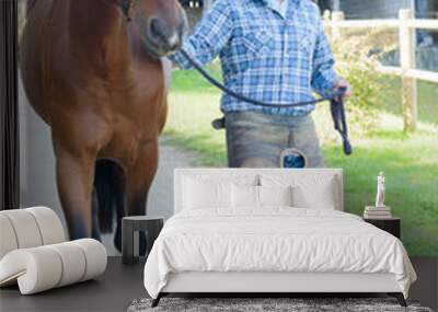 man walking horse Wall mural