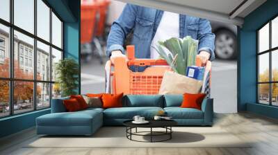 man with a shopping cart at a parking Wall mural