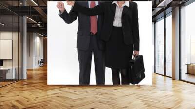 mature businesspeople standing on white background Wall mural