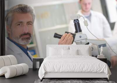 scientist examining sample with microscope in the laboratory Wall mural