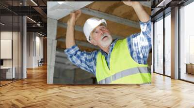 senior man inspecting lintel on construction site Wall mural