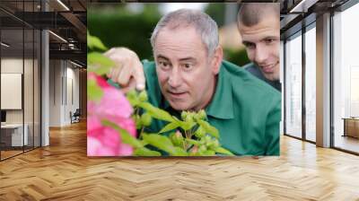 two men caring for plants Wall mural