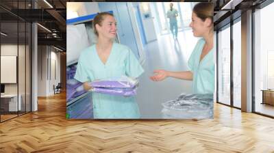 two nurses meeting in hospital Wall mural