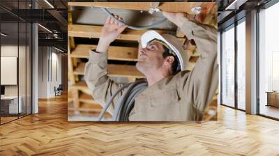 worker making mounting for an electric cable in ceiling Wall mural