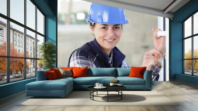 young woman builder working using a screwdriver Wall mural