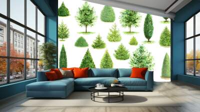 Trees illustration vector collection. Can be used to illustrate any nature or healthy lifestyle topic. Wall mural