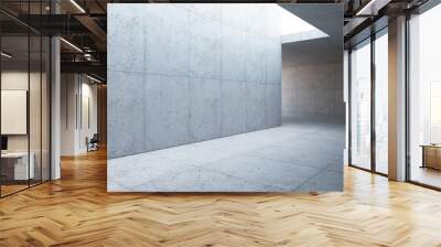 blank concrete space interior, 3d rendering Wall mural