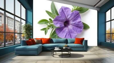 Close up of purple flower of petunia and leaves on an isolated white background Wall mural