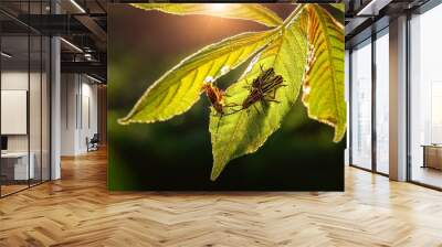 a macro shot of a pair of insects resting on a verdant foliage leaf bathed in golden beams emanating from behind it Wall mural