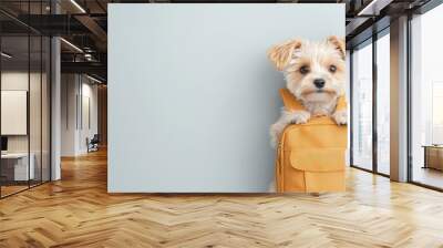 A cute dog with a yellow backpack posing against a soft blue background, perfect for pet-related themes and travel ideas. Wall mural