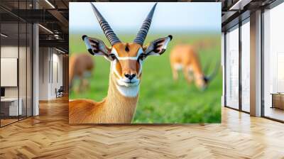 A majestic antelope stands gracefully in a lush green field, showcasing its striking features and impressive horns. Wall mural