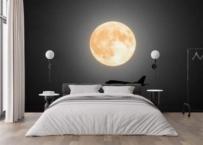 Airplane silhouette against full moon, tranquil night sky, serene atmosphere. Wall mural