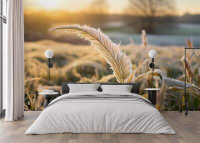 A serene photograph capturing golden light illuminating frosty grass at sunrise.  Wall mural