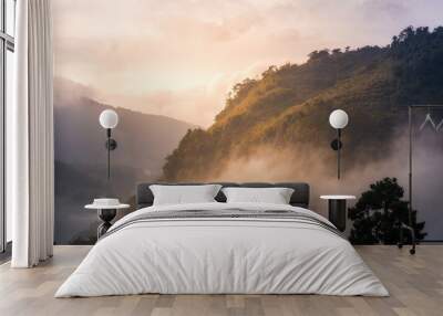 morning mist at strawberry field, Doi Ang Khang , Chiang Mai, Thailand. Wall mural