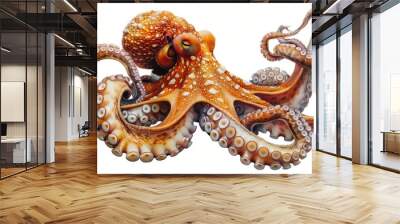 A large orange octopus with white spots on its head and body Wall mural