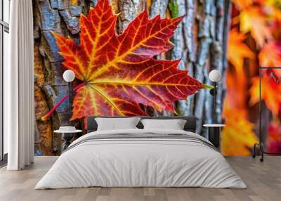 A close-up of silver maple bark highlights its intricate textures and natural patterns, showcasing the beauty and complexity found in nature's designs and formations. Wall mural