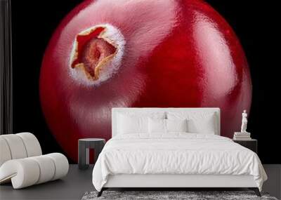 Cranberry isolated on black Wall mural