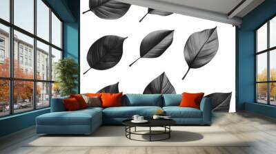 Set of black and white leaves with realistic shading, perfect for designs, isolated on a transparent background.
 Wall mural