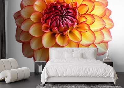 Vibrant dahlia bloom in orange and red shades, isolated on a transparent background with intricate petal details.

 Wall mural