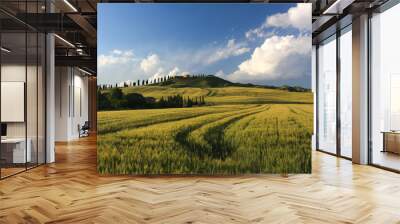 campagna toscana 2 Wall mural