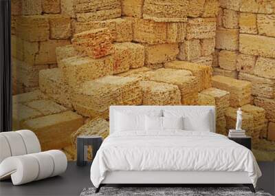 Background with stones from shell rock material Wall mural