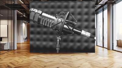 Background with a professional microphone Wall mural