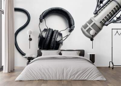 Professional microphone and headphones Wall mural