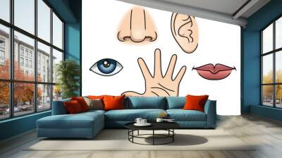 5 Senses Wall mural