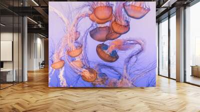 Dream Jellies Wall mural