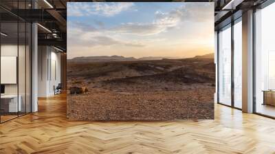 Beautiful dry landscape with colorful sand and cloudy blue sky. Sunset in the wilderness. The arid landscape of the prairie. Israel Negev Desert Sede Boker. Great view of the Nakhal Tsin rift.  Wall mural