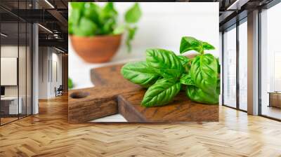 Green basil leaves on a textured wooden background. Kitchen herbs, spices. Fresh green organic basil. Vegan. Greens for salad. Place for text. Copy space. Wall mural