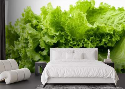 A green salad leaf is isolated on a white background Wall mural