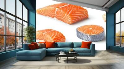 An isolated background with a set of fresh raw salmon fillets for grilling or roasting, popular fish used for making food. Wall mural