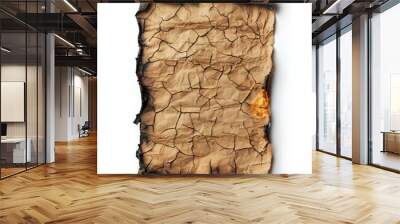 An old crumpled sheet of brown paper is on fire Wall mural