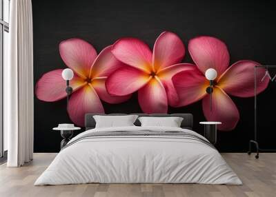 art of plumeria flowers with white and pink petals Wall mural