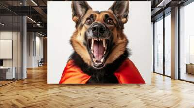 Cute Halloween pet dog in a vampire costume, isolated on transparent background Wall mural