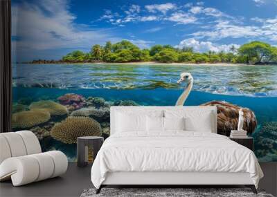 Divers view the vivid marine life and underwater beauty surrounding an ostrich diving into the clear sea. Wall mural